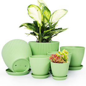 Vodotion six-pack plant pots in six sizes for versatile indoor gardening