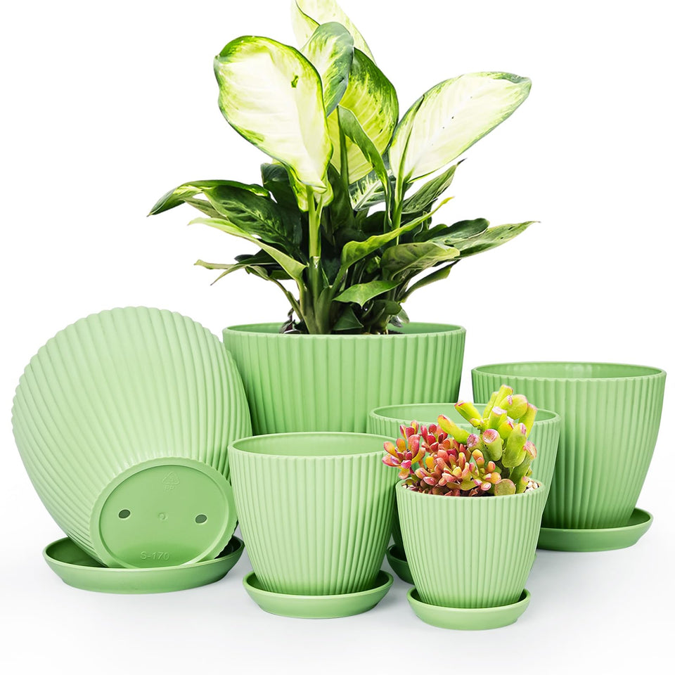 Vodotion six-pack plant pots in six sizes for versatile indoor gardening
