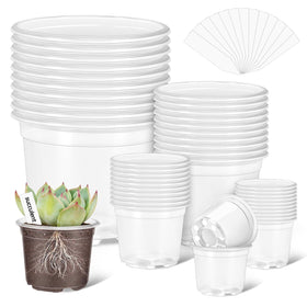 VOKOY 5-inch clear nursery pot with drainage holes for moisture control.