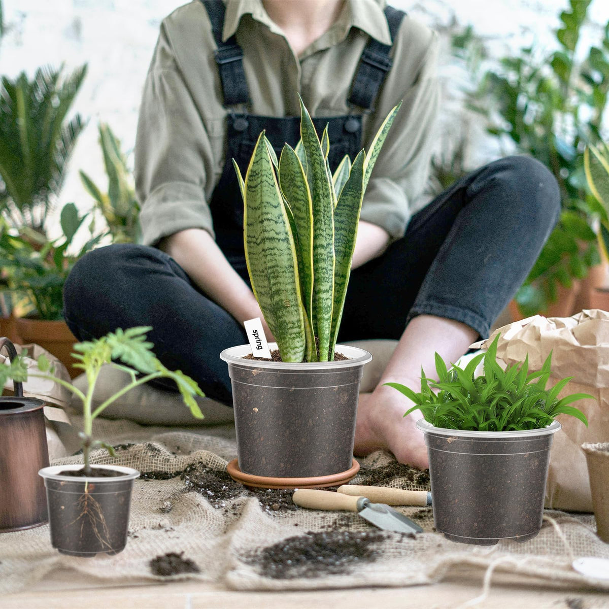 VOKOY 40-pack plant labels for clear pot organization and ID.