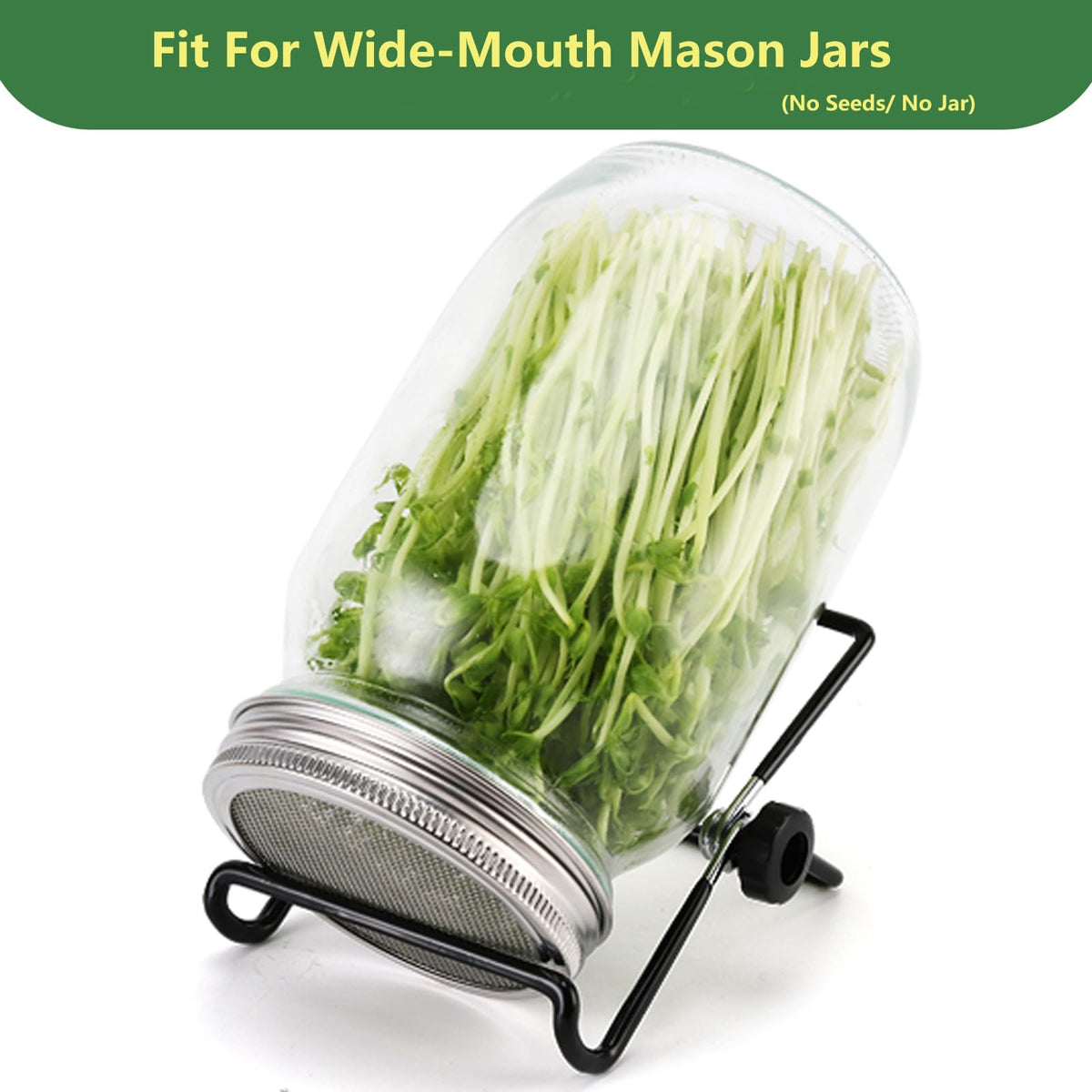 VOLCANOES CLUB jar stands adjustable angle for better drainage and airflow