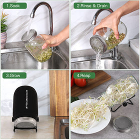 Four VOLCANOES CLUB lids and stands enable family-friendly daily sprouting