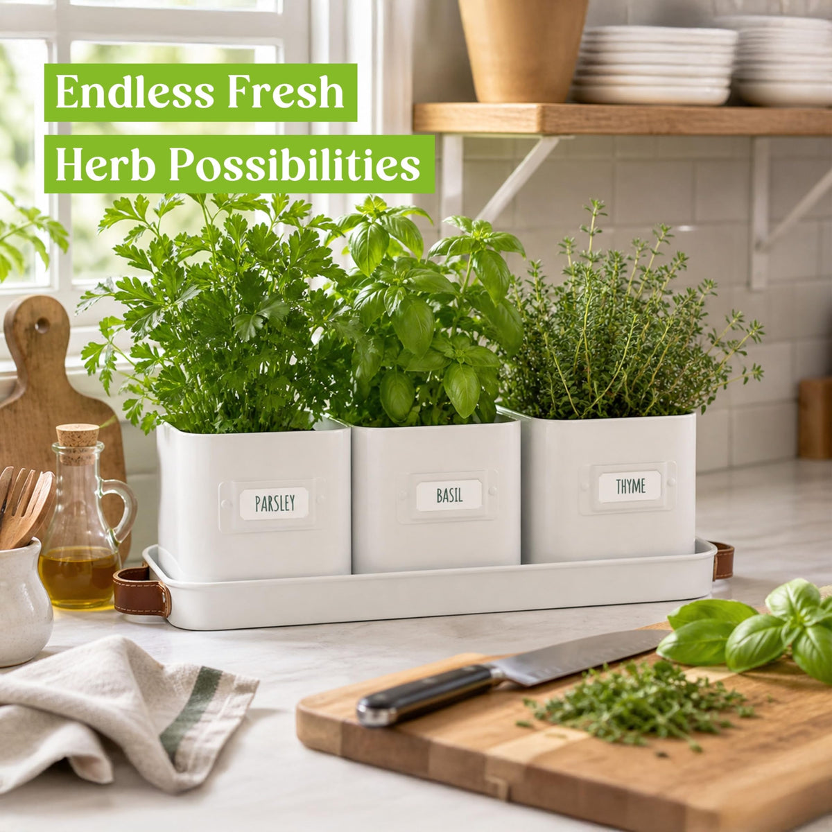 Volila mint, basil, and parsley thriving in convenient kitchen herb garden.