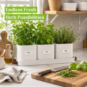 Volila mint, basil, and parsley thriving in convenient kitchen herb garden.