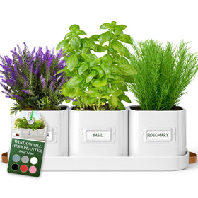 Volila herb planter indoor pots with leather tray for easy moving and stylish display.