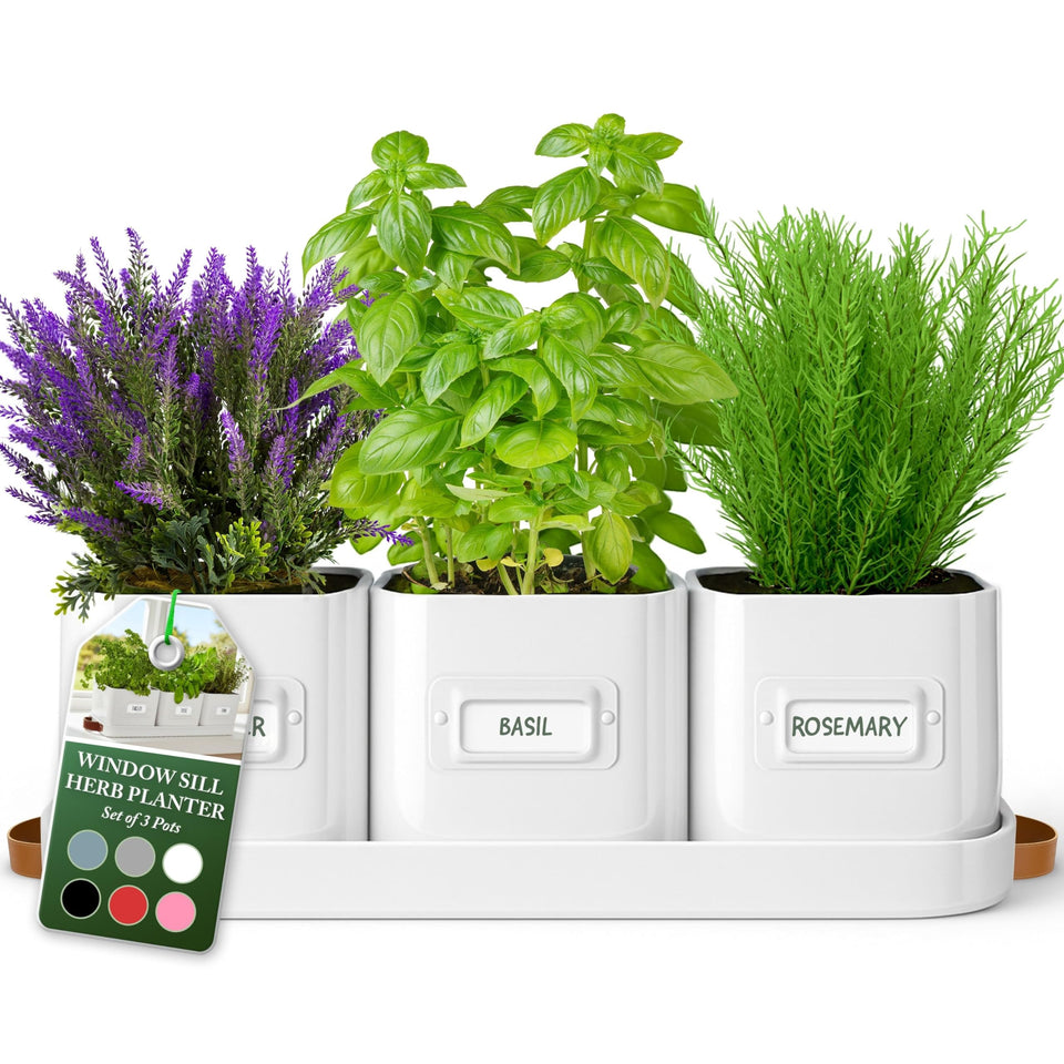 Volila herb planter indoor pots with leather tray for easy moving and stylish display.