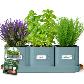 Volila herb planter indoor teal pots with tray for organized windowsill herbs.