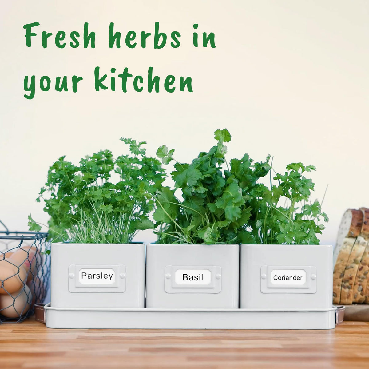 Volila kitchen windowsill garden ready to grow fresh herbs at home.