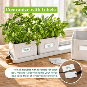 Volila leather-handled tray protects surfaces while transporting herbs.