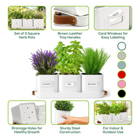 Volila pots with drainage holes support healthy herbs and simple watering.