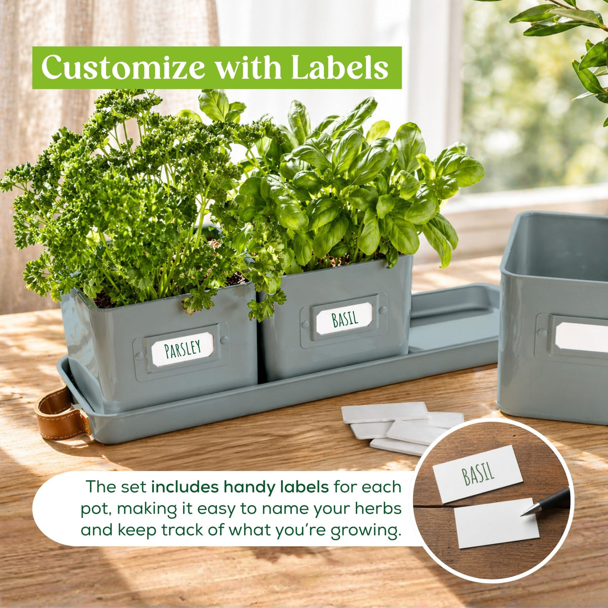Volila three-pack teal planters for a lively windowsill garden.