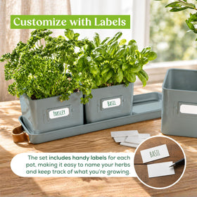 Volila three-pack teal planters for a lively windowsill garden.
