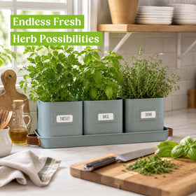 Volila tray protects surfaces and keeps herbs within reach.