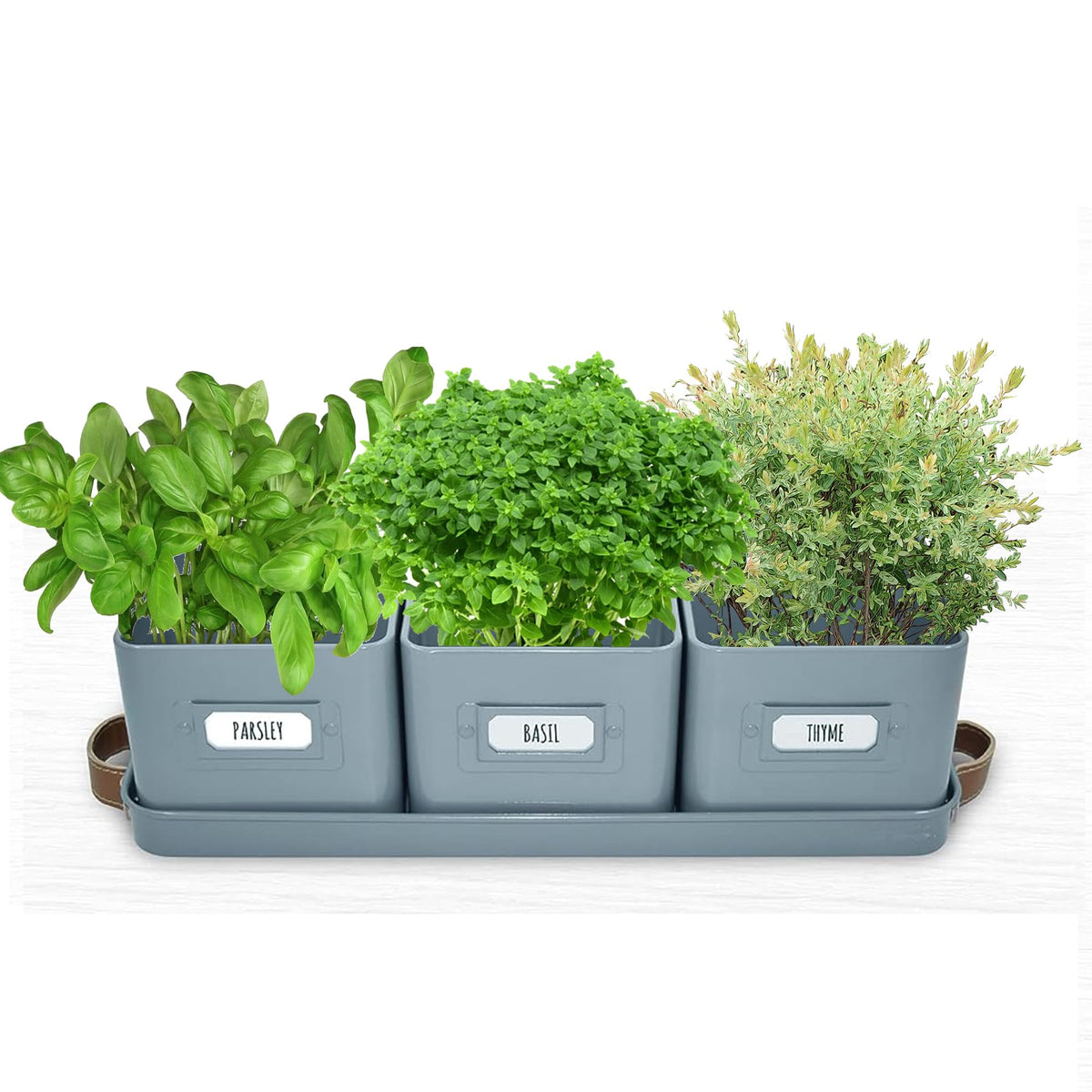 Volila warranty-backed herb planter ensures support if issues arise.