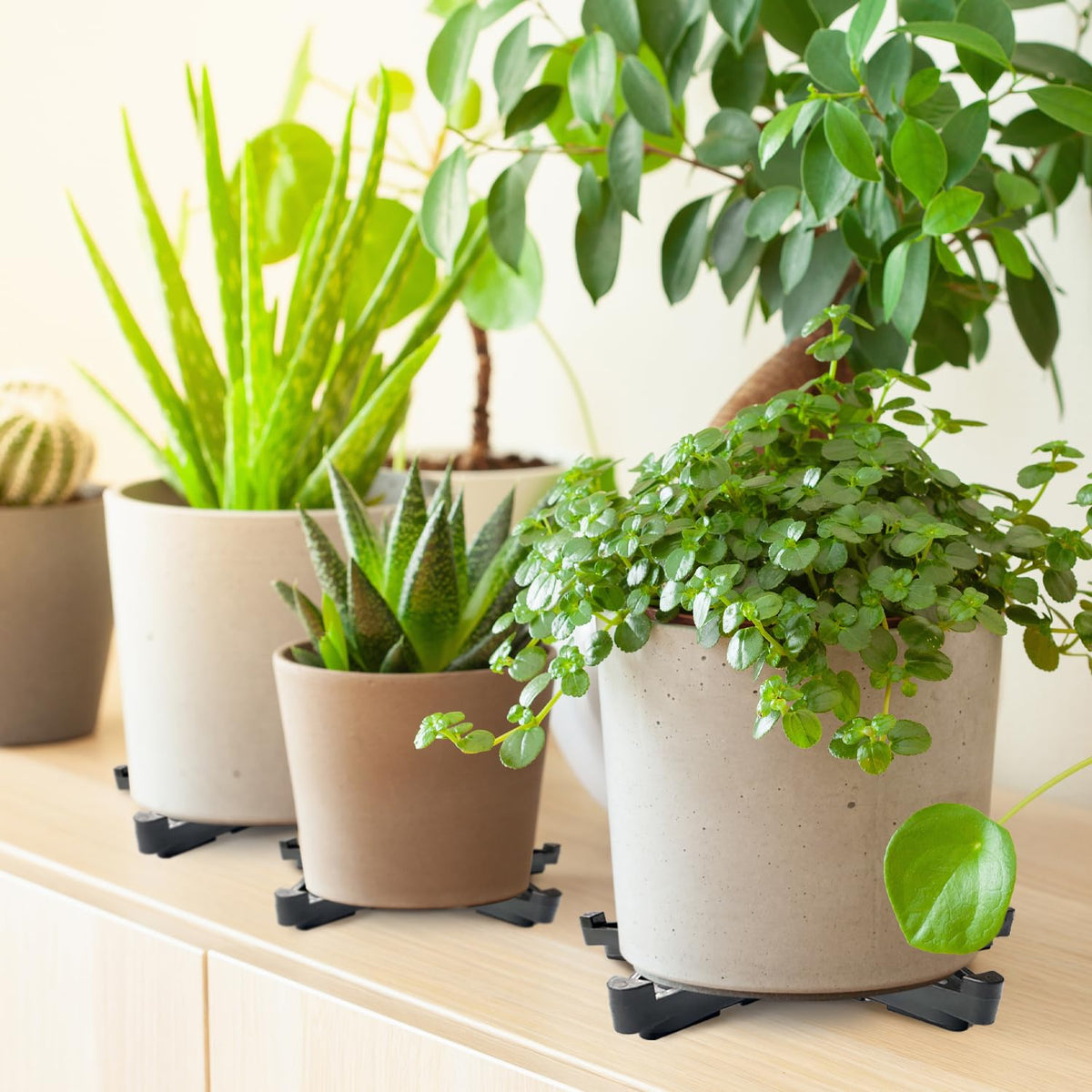Vorregenweiss stackable triangular feet adapt to various pot sizes
