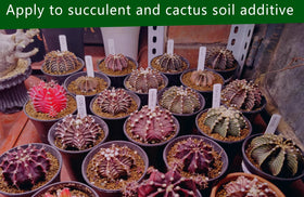 Voulosimi Akadama soil spread in garden bed illustrates reliable growing medium benefits