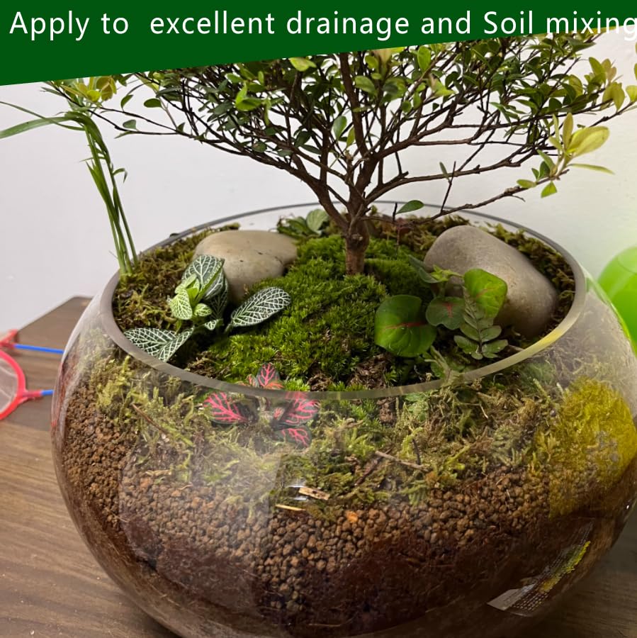 Voulosimi Akadama soil in landscape pot demonstrates clean, versatile fill for displays