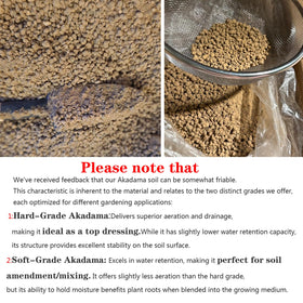 Voulosimi Akadama soil ready for planting bonsai, cacti and succulents with even moisture