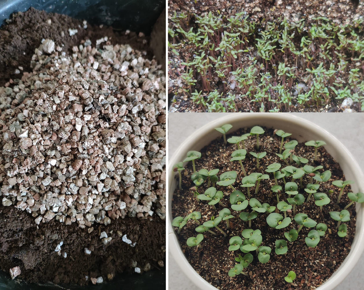 Voulosimi gardening-setup vermiculite complements both soil-less and traditional mixes.