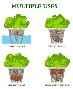 Voulosimi pumice-rock-moisture-retention balances watering in container gardens