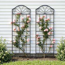 VOXOR decorative European-style trellis shown in a garden.