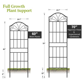 VOXOR two-pack trellis set offers versatile outdoor garden accents.