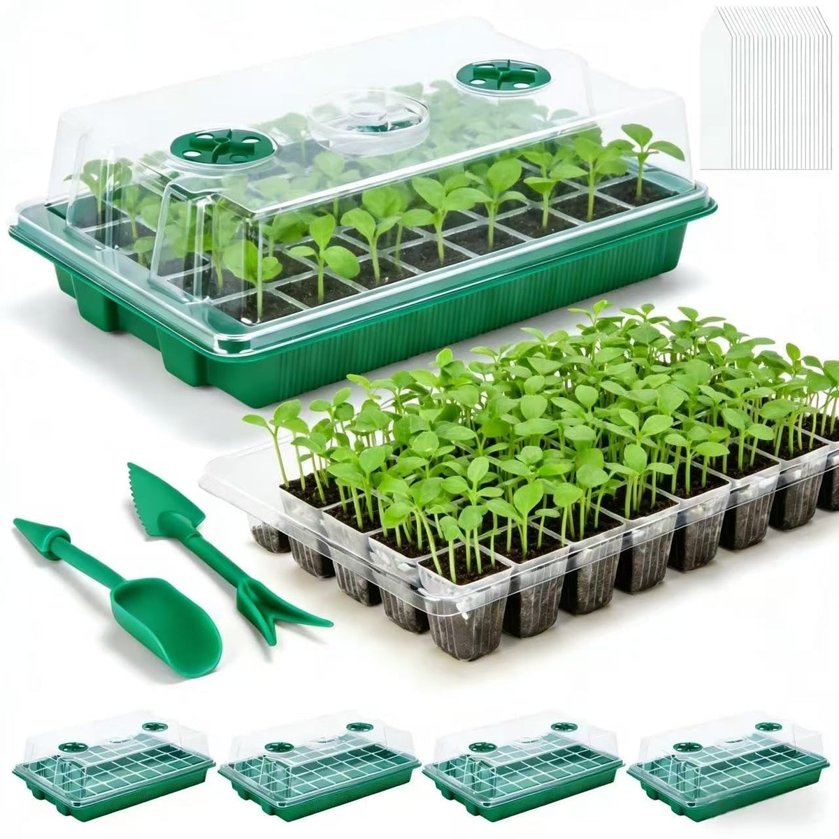 VPQZUPG 5-pack seed starter tray with 200 cells for efficient germination