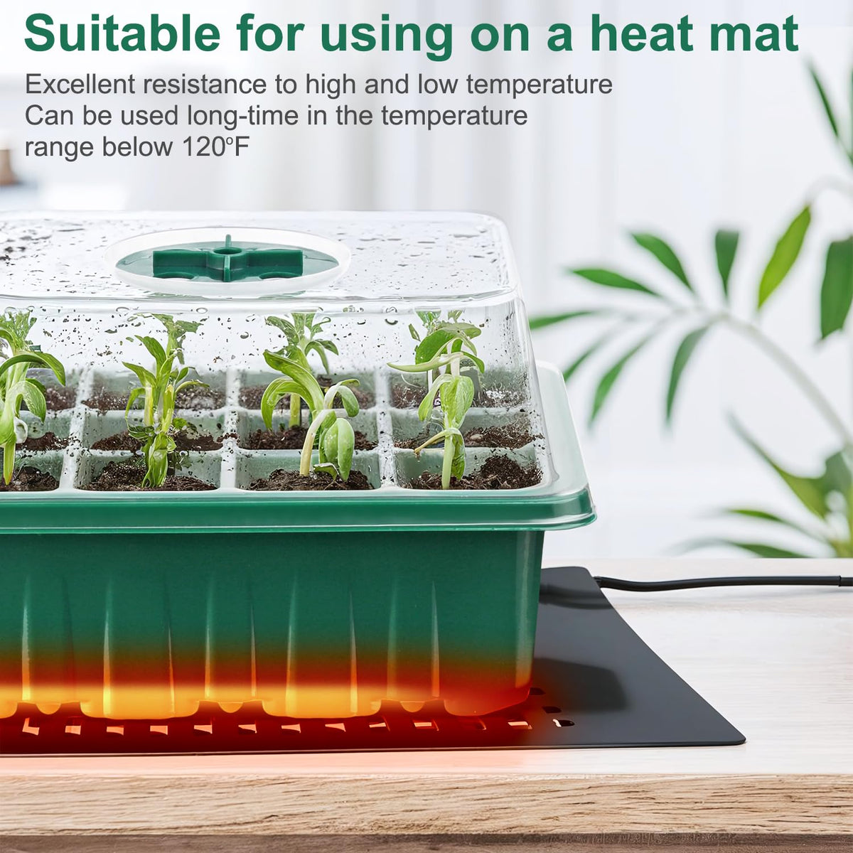 VPQZUPG complete seed starting kit includes everything you need for fresh plantings.