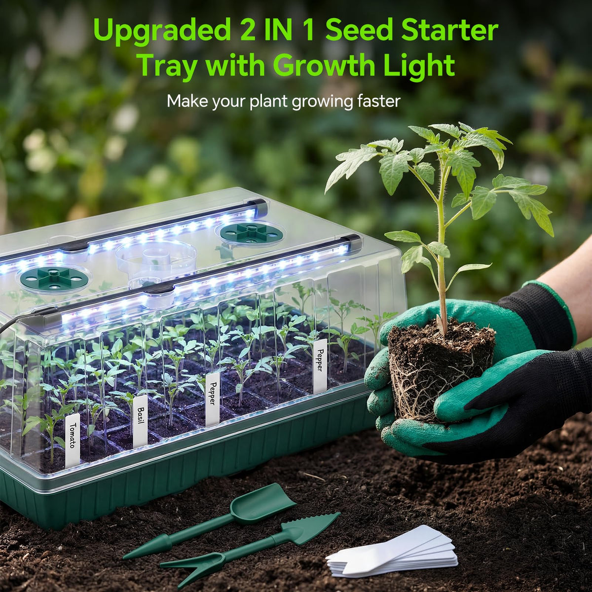 VPQZUPG mini greenhouse setup supports year-round seed growth
