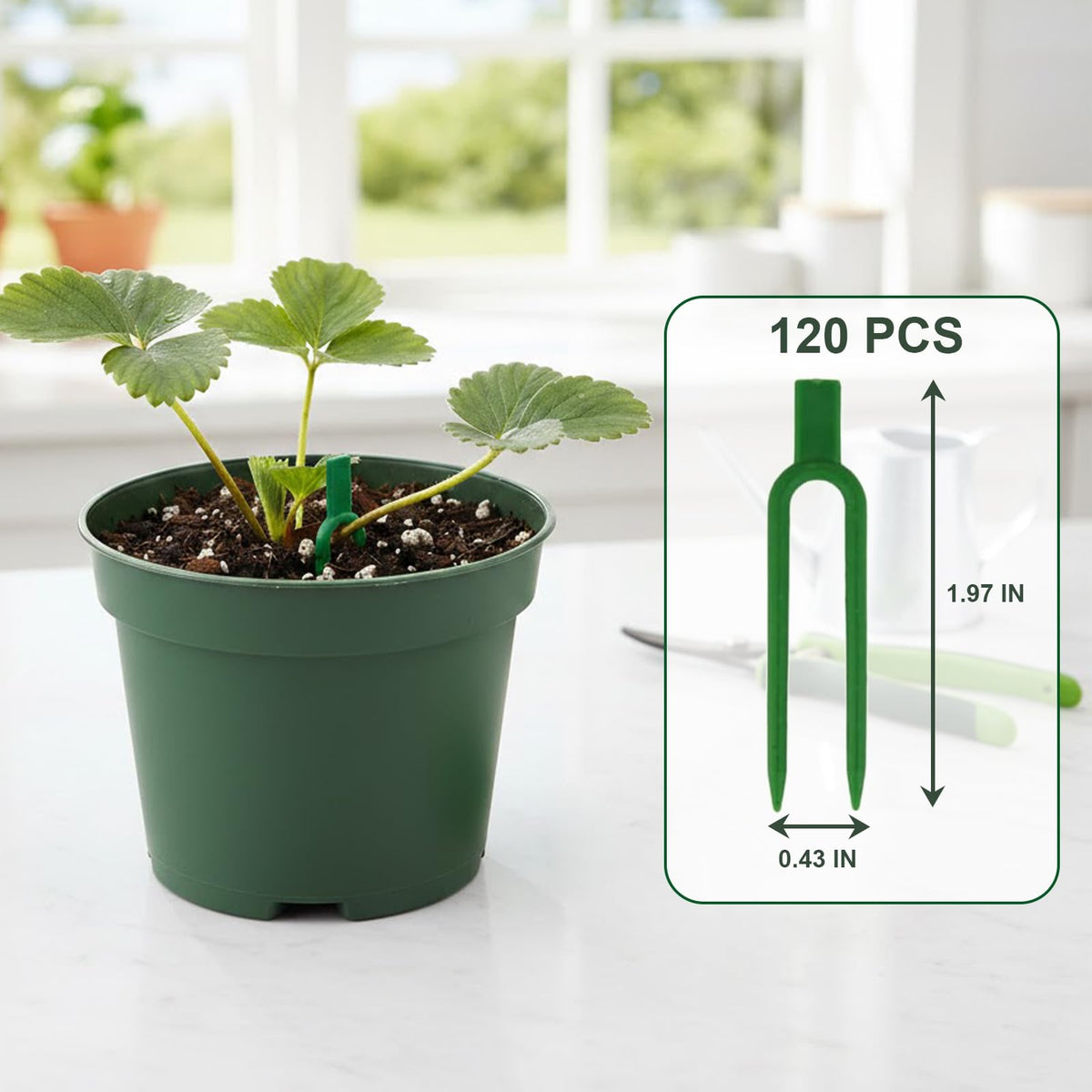 VPWHY strawberry runner anchor pin ideal for rooting and supporting cuttings and seedlings.