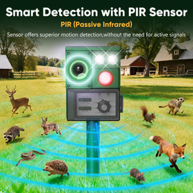 Vsyt PIR motion detection activates deterrence along walkways.