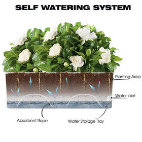 Vugosson 8-inch medium pot showing reliable self-watering for herbs and greens.