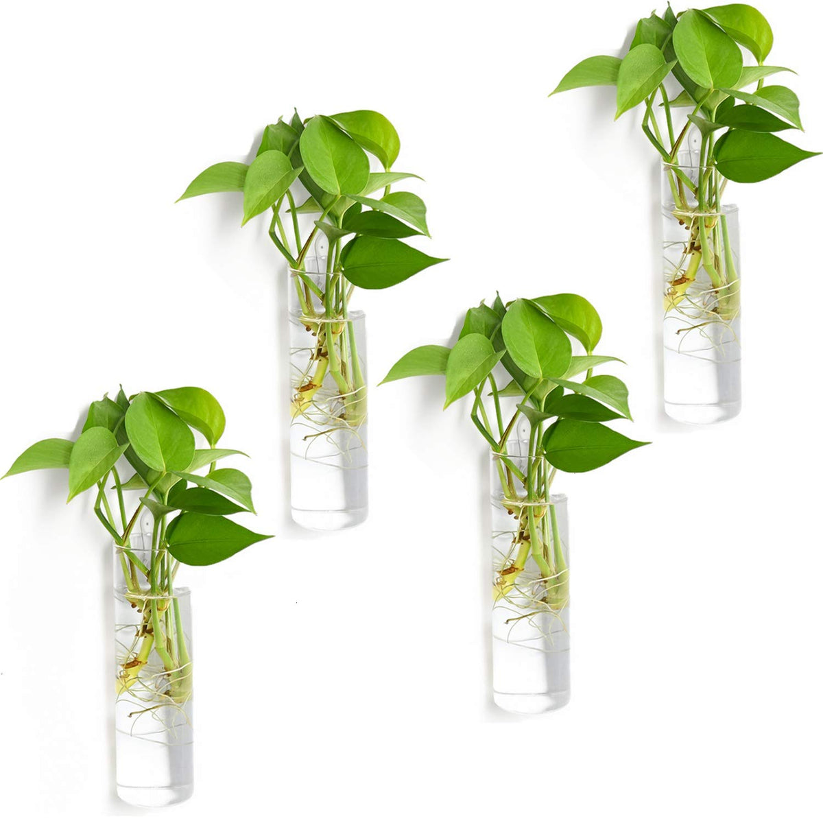 Vumdua 4-pack glass planters on wall mount for compact indoor display