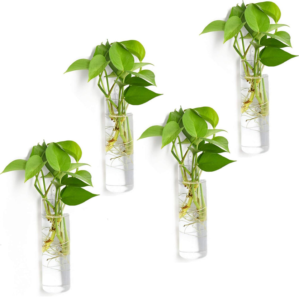 Vumdua 4-pack glass planters on wall mount for compact indoor display