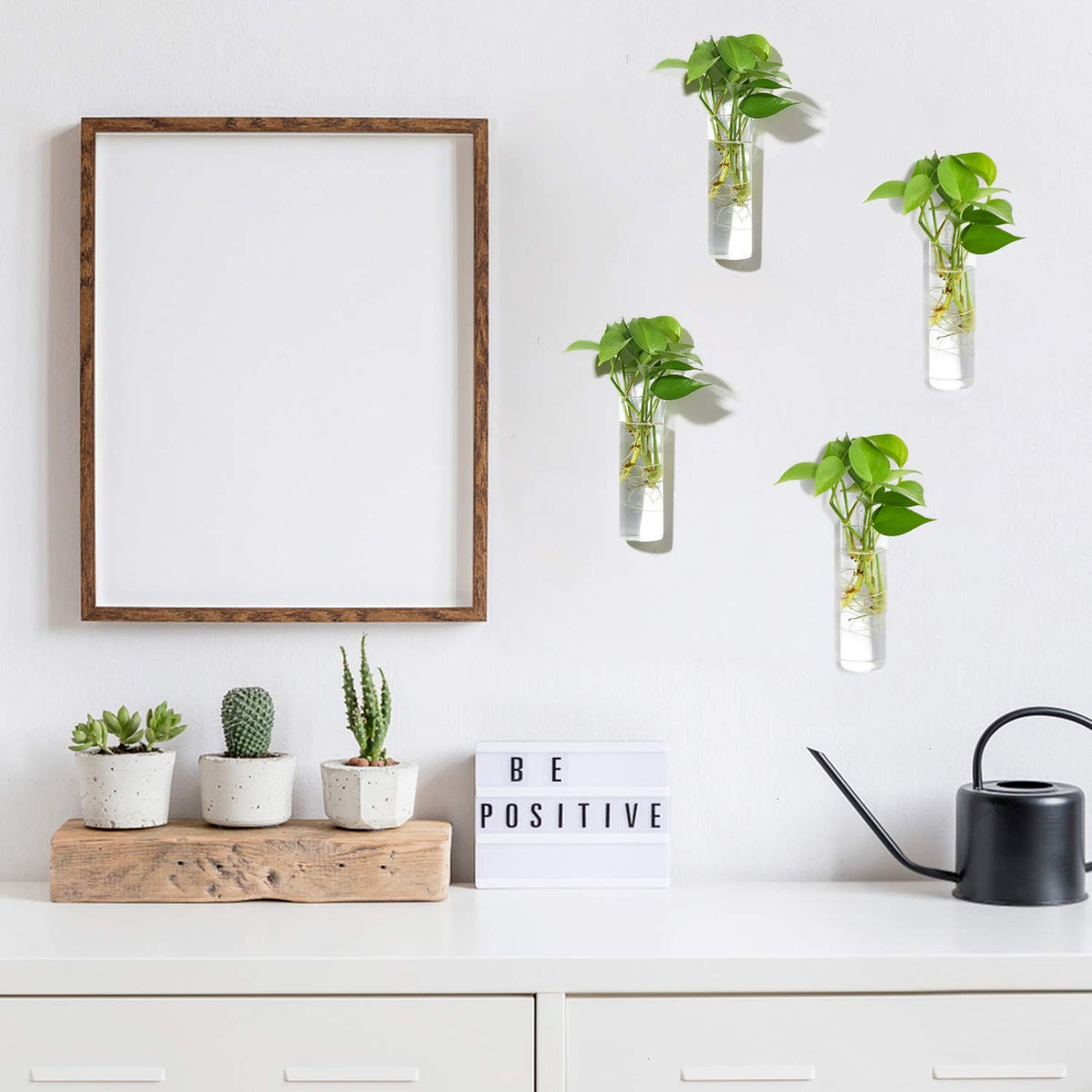 Vumdua cylindrical propagation planter reveals roots while hydrating