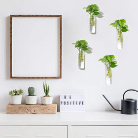 Vumdua cylindrical propagation planter reveals roots while hydrating