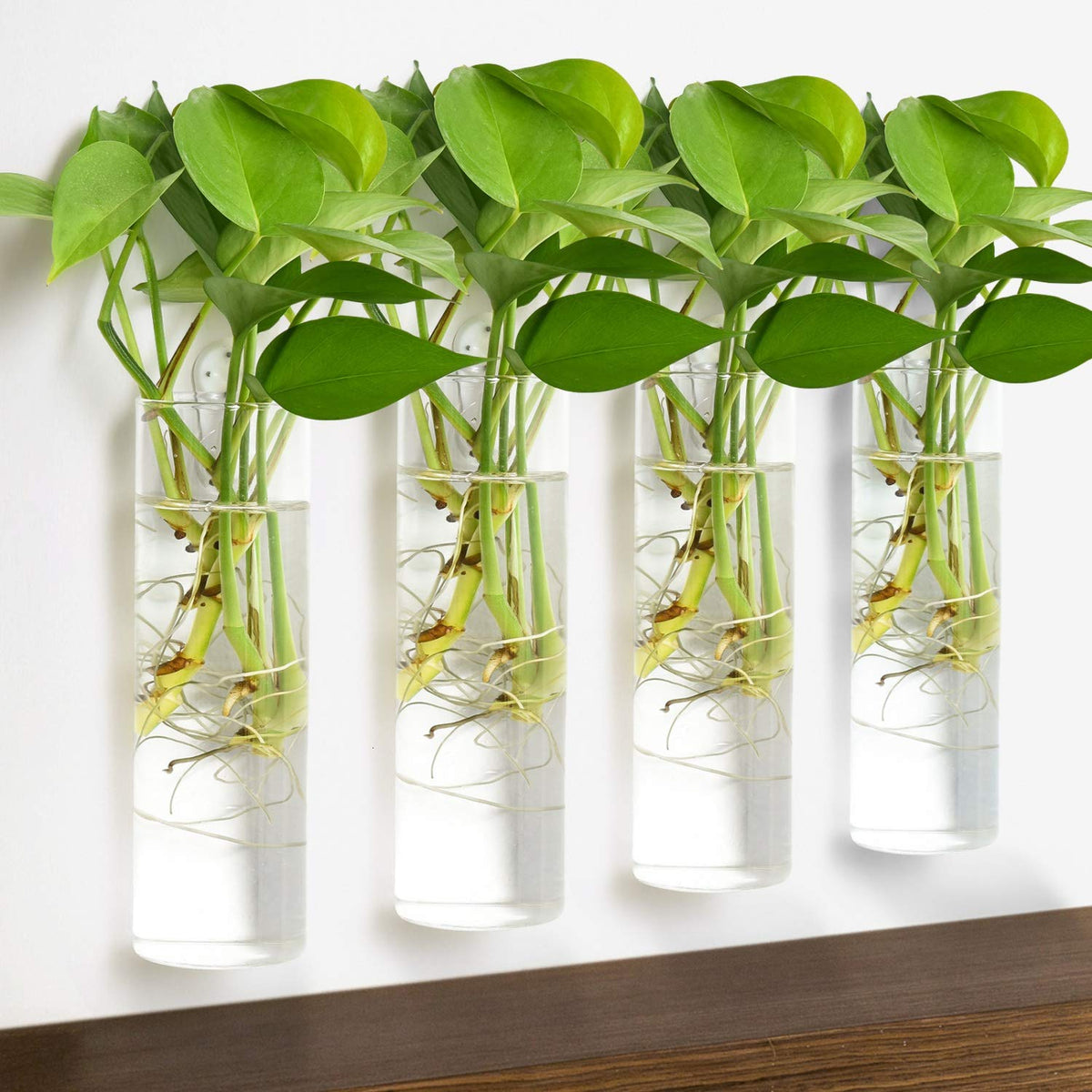 Vumdua DIY propagation station for creative home plant projects