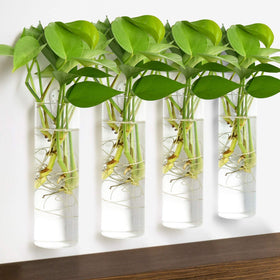 Vumdua DIY propagation station for creative home plant projects