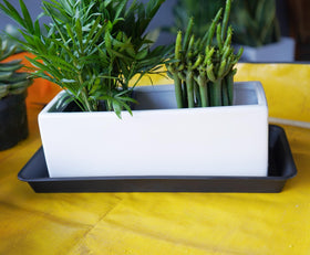 VUWEZ 11-inch saucer guards surfaces from moisture during watering.