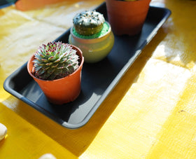 VUWEZ black-brown plastic saucer complements modern planters