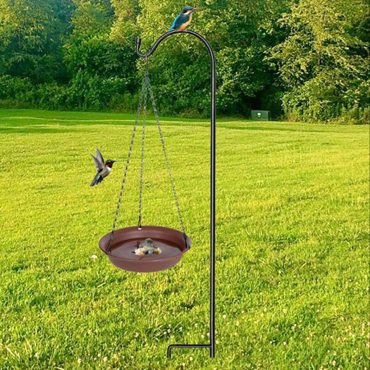 VUWEZ hummingbird bath option ready for fountain accessories and movement
