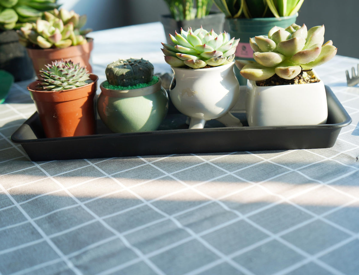 VUWEZ indoor-outdoor rectangular tray catches water on windowsills