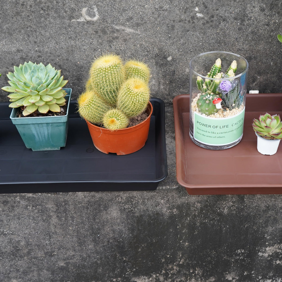 VUWEZ 2-pack planter trays simplify pot organization and watering.