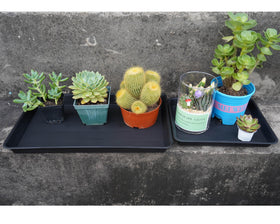 VUWEZ plastic planter-saucer-on-window-sill suggests indoor decor with moisture protection