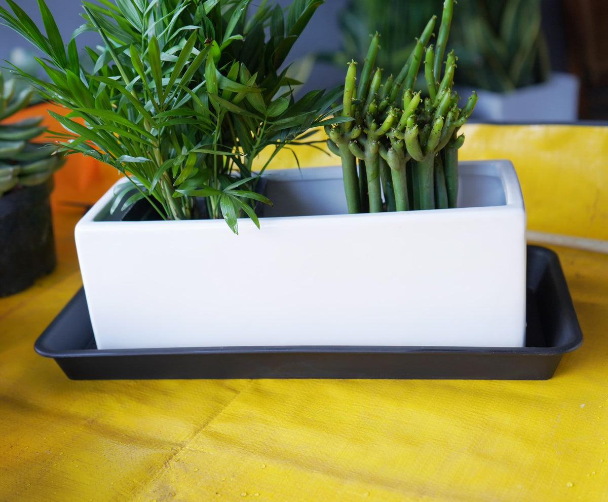 VUWEZ rectangular tray fits most windowsills and narrow spaces.