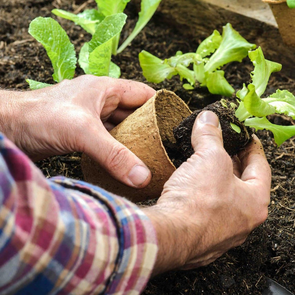vwpvdeeg breathable pulp pots promote air circulation around roots