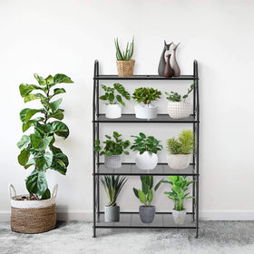 VyGrow black metal finish adds modern style and durable support