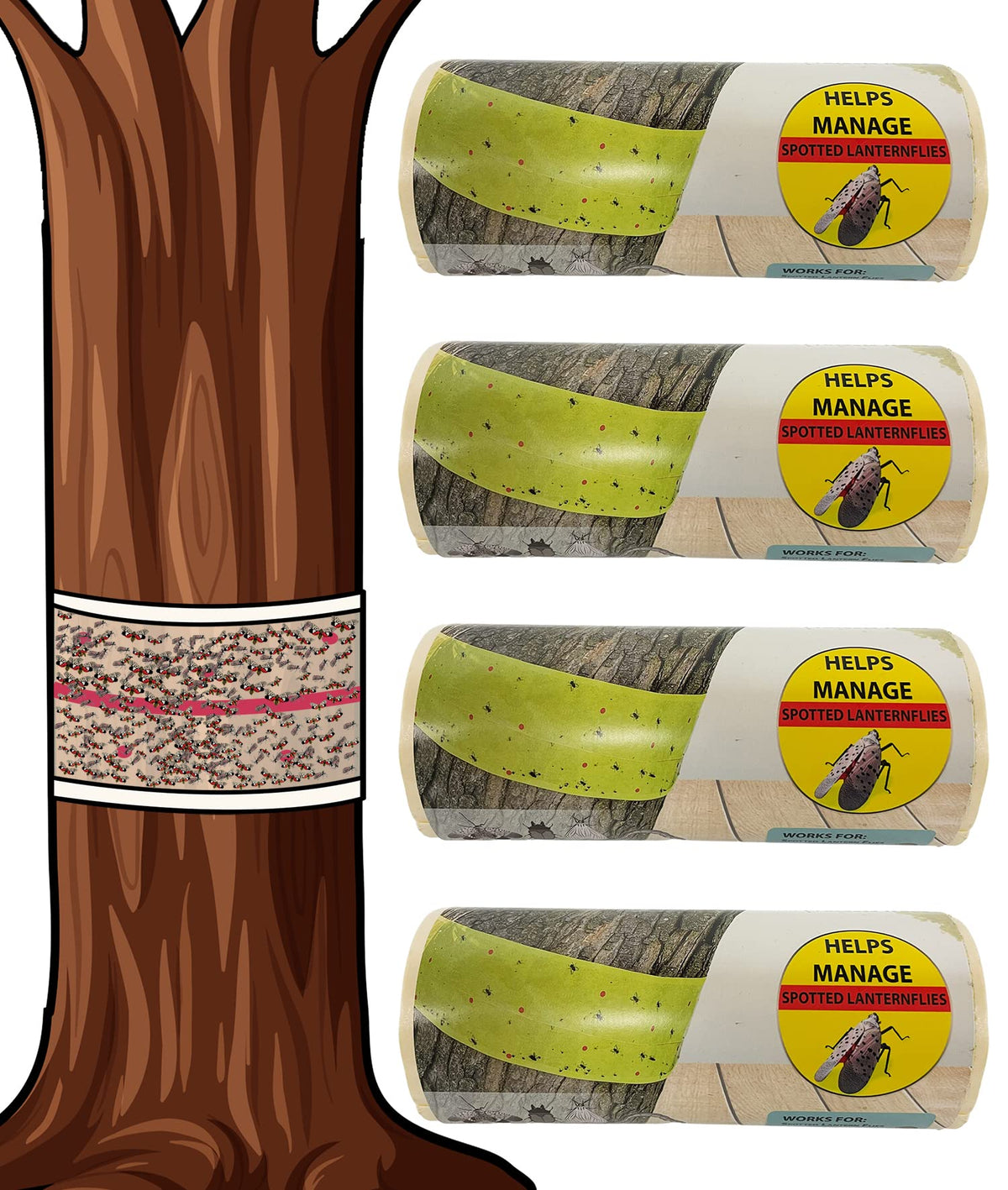 W4W front packaging view showing four 30-foot rolls and benefits