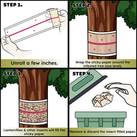 W4W trap in garden setting protecting fruit trees and plants