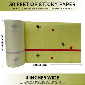 W4W tape wrapped around a tree trunk catching insects effectively